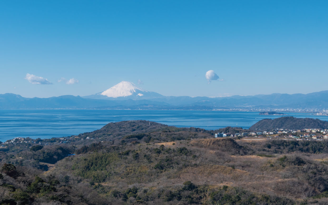 大楠山の展望塔から見た富士山